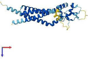 CD82 Protein (CD82) (AA 1-267) (His tag)