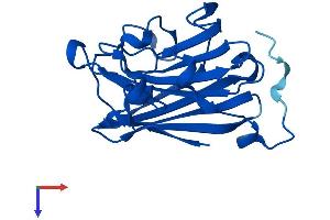 AlphaFold protein structure predicition of Mouse Recombinant D3Ertd751e Protein, UniprotID Q8BGN2