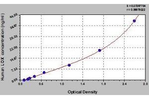 Typical standard curve (LOX ELISA Kit)