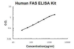 Human sFAS PicoKine ELISA Kit standard curve (FAS ELISA Kit)