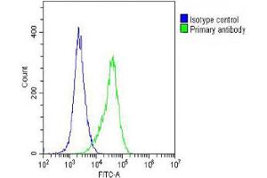 Overlay histogram showing A2058 cells stained with Antibody (green line). (ARV1 antibody  (N-Term))