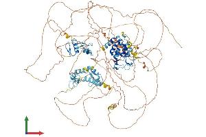 AlphaFold protein structure predicition of Mouse Recombinant Bnc2 Protein, UniprotID Q8BMQ3