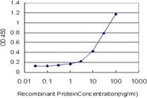 Detection limit for recombinant GST tagged GDF3 is approximately 0. (GDF3 antibody  (AA 265-364))