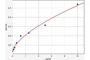 LGALS8 ELISA Kit