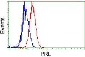 Flow cytometric analysis of Jurkat cells, using anti-PRL antibody (ABIN2453519), (Red) compared to a nonspecific negative control antibody (TA50011) (Blue). (Prolactin antibody)