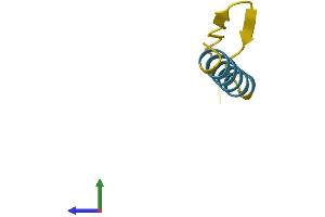 AlphaFold protein structure predicition of Human Recombinant RNF216P1 Protein, UniprotID Q6NUR6