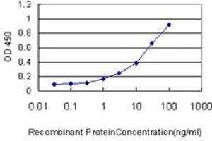 Detection limit for recombinant GST tagged DC-UbP is approximately 0. (UBTD2 antibody  (AA 1-190))