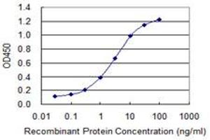 Detection limit for recombinant GST tagged ABCC8 is 0. (ABCC8 antibody  (AA 611-710))