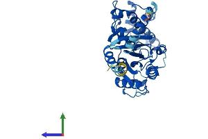 AlphaFold protein structure predicition of Human Recombinant GNA14 Protein, UniprotID O95837 (GNa14 Protein (AA 1-355) (His tag))