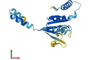 AlphaFold protein structure predicition of Human Recombinant IRGM Protein, UniprotID A1A4Y4