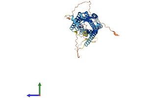 AlphaFold protein structure predicition of Human Recombinant CCKAR Protein, UniprotID P32238 (CCKAR Protein (AA 1-428) (His tag))