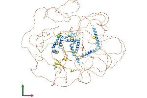 AlphaFold protein structure predicition of Mouse Recombinant Npat Protein, UniprotID Q8BMA5