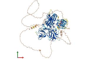 AlphaFold protein structure predicition of Mouse Recombinant Crybg3 Protein, UniprotID Q80W49 (CRYBG3 Protein (AA 1-1005) (His tag))