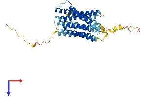 AlphaFold protein structure predicition of Mouse Recombinant Slc39a1 Protein, UniprotID Q9QZ03 (SLC39A1 Protein (AA 1-324) (His tag))