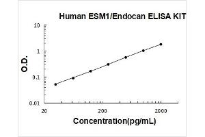 Endothelial Cell-Specific Molecule 1 (ESM1) ELISA Kit
