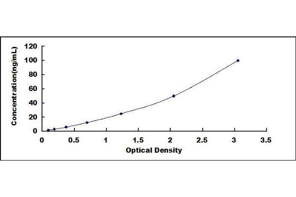 Creatine Kinase MB ELISA Kit