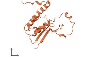 AlphaFold protein structure predicition of Human Recombinant ADARB2-AS1 Protein, UniprotID A8MUL3 (ADARB2-AS1 Protein (AA 1-147) (His tag))