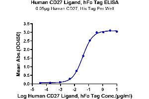 ELISA image for CD70 Molecule (CD70) (AA 39-193) protein (Fc Tag) (ABIN7274227)