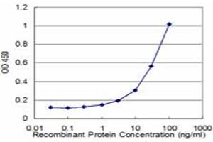 Detection limit for recombinant GST tagged KLK10 is approximately 1ng/ml as a capture antibody. (Kallikrein 10 antibody  (AA 167-276))