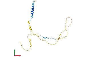 AlphaFold protein structure predicition of Mouse Recombinant Dbndd2 Protein, UniprotID Q9CRD4