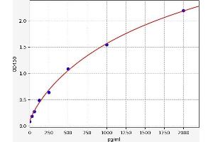 Angiopoietin-Like 2 (ANGPTL2) ELISA Kit