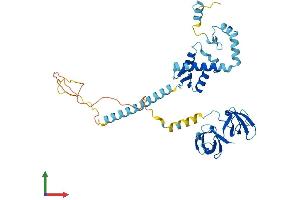 AlphaFold protein structure predicition of Mouse Recombinant Kin Protein, UniprotID Q8K339