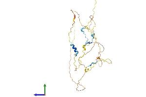 AlphaFold protein structure predicition of Human Recombinant CDC42EP4 Protein, UniprotID Q9H3Q1 (CDC42EP4 Protein (AA 1-356) (His tag))