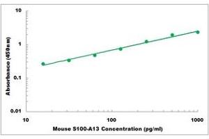 S100A13 ELISA Kit