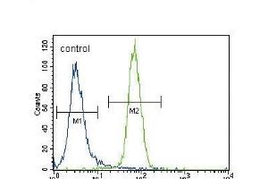 RUNX2 Antibody  (ABIN392133 and ABIN2841871) flow cytometric analysis of NCI- cells (right histogram) compared to a negative control cell (left histogram). (RUNX2 antibody  (AA 445-474))