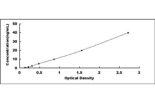 CD14 ELISA Kit