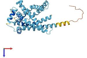 AlphaFold protein structure predicition of Mouse Recombinant Slc25a29 Protein, UniprotID Q8BL03 (SLC25A29 Protein (AA 1-306) (His tag))