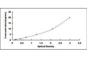 ELISA image for Leptin (LEP) ELISA Kit (ABIN416359)