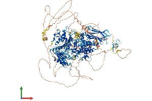 AlphaFold protein structure predicition of Human Recombinant HFM1 Protein, UniprotID A2PYH4 (HFM1 Protein (AA 1-1435) (His tag))