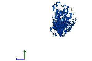 AlphaFold protein structure predicition of Mouse Recombinant Asb4 Protein, UniprotID Q9WV71 (ASB4 Protein (AA 1-426) (His tag))