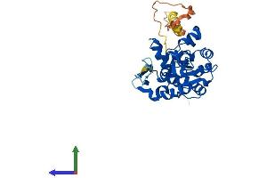 AlphaFold protein structure predicition of Mouse Recombinant Hs3st6 Protein, UniprotID Q5GFD5