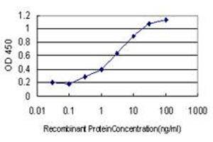 Detection limit for recombinant GST tagged CDX2 is approximately 0.
