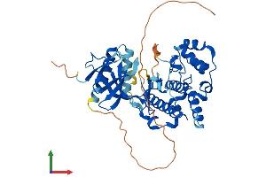 AlphaFold protein structure predicition of Mouse Recombinant Mapk9 Protein, UniprotID Q9WTU6 (JNK2 Protein (AA 1-423) (His tag))