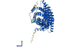 AlphaFold protein structure predicition of Mouse Recombinant Appbp2 Protein, UniprotID Q9DAX9