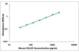 Representative Standard Curve (CCL25 ELISA Kit)