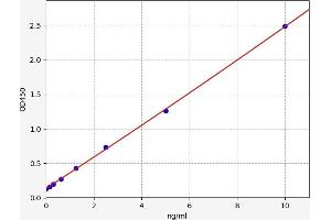 Typical standard curve (MAPKAP Kinase 2 ELISA Kit)