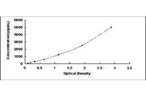 Typical standard curve (EPAS1 ELISA Kit)