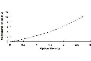 Doublecortin ELISA Kit