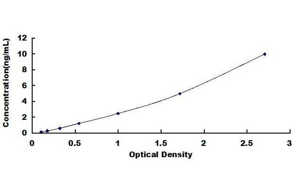 Doublecortin ELISA Kit