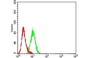 Flow cytometric analysis of Hela cells using AKT1S1 mouse mAb (green) and negative control (red). (PRAS40 antibody  (AA 92-276))
