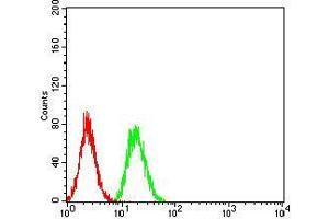Flow cytometric analysis of Hela cells using TRIM25 mouse mAb (green) and negative control (red). (TRIM25 antibody  (AA 211-360))