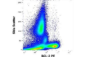 Flow cytometry intracellular staining pattern of human peripheral whole blood from diffuse large B-cell lymphoma (DLBCL) patient. (Bcl-2 antibody  (AA 41-54) (PE))