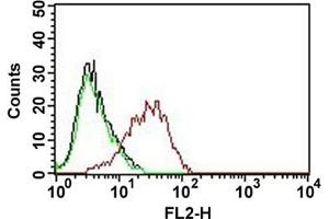 Flow cytometric analysis of MCF-7 cell with EPCAM monoclonal antibody, clone EGP40/837 (PE)  (red). (EpCAM antibody  (PE))