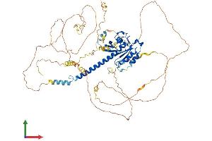 AlphaFold protein structure predicition of Human Recombinant RABL6 Protein, UniprotID Q3YEC7