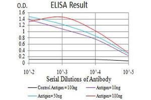 Black line: Control Antigen (100 ng), Purple line: Antigen(10 ng), Blue line: Antigen (50 ng), Red line: Antigen (100 ng), (RAB8A antibody  (AA 68-207))
