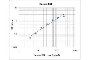 Human EGF Standard Curve (EGF ELISA Kit)